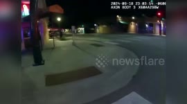 US: Colorado Police Chase Down Runaway Red Kangaroo
