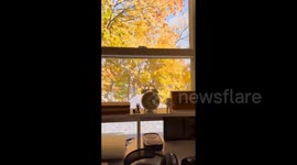 US: Fall Foliage Peaks Across Northeast 2