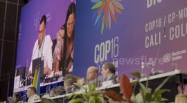 Colombia: Developing countries hope to secure more funding for biodiversity conservation at COP16