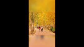 Fairy-like autumn in China's Inner Mongolia