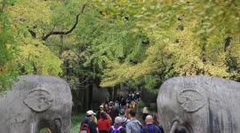 China: Autumn Scenery in Nanjing