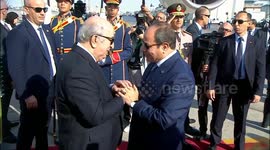 Egypt proposes two-day Gaza ceasefire initiative for hostage-prisoner swap: president