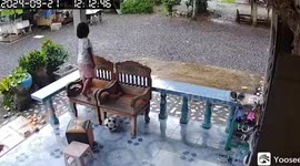 Young girl topples over while posing on bench