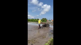 Farmer rides tractor through paddy field in Bali