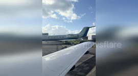 US: Massive Alligator Disrupts Runway at Florida Airport, Startling Onlookers