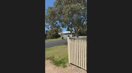 Man runs with trash bin to catch garbage collector in Victoria