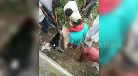 Rescue operation in central India saves cow trapped in drain