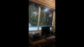 Wolves howling captured on video near cabin in Quebec