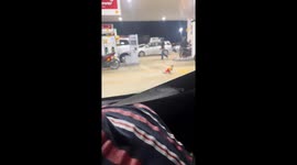 Cat in Shell cloth at petrol station