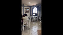 Sheep seen leaving restaurant in Hidalgo, Mexico