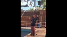 Sea lion performs dance routine with trainer in Antalya