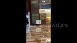 Abrupt chaos as wild boar charges into luxury Chinese hotel pursued by police