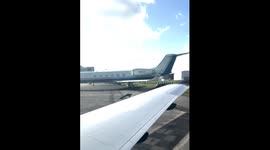 Large alligator spotted on airport runway in Fort Myers, Florida
