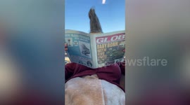 Mum crafts elaborate Halloween costume and dresses up as Roz from Monsters, Inc.