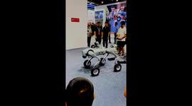 Robot dogs on wheels captivate trade show visitors in China