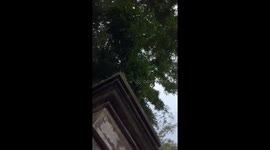 Tourists queue to bathe in sacred Balinese temple