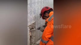 Firefighters rescue terrified kitten heard meowing inside wall for two days