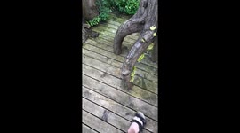 My Owl Hates My Sandals