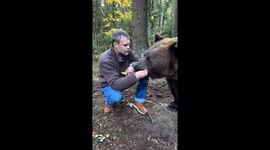 Oso Pardo Tom,, con sus casi cinco añitos, aún se comporta como un pequeño cachorro