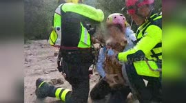 Italy: Firefighters Save Stranded Individuals and Dog Amid Storm Chaos