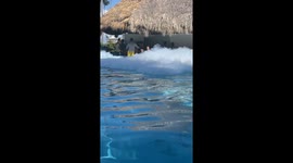Woman braves foam party and dodges partiers to deliver drink across pool without spilling a drop