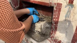 Italy: An Extravagantly Decorated ‘Tiny House’ Has Been Discovered in Pompeii