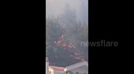 Lebanon: A large fire in the forests of Kfar Qatra in Chouf