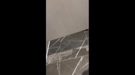 When You Interrupt a Dog's Water Break