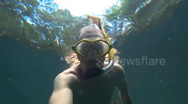 POV adult man snorkeling in Florida Spring with Clear Spring Water