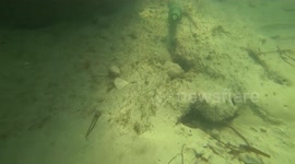 Snorkeling in the Florida Keys with an Empty Green Bottle on the Ocean Floor