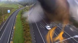 Bird checks out highway camera in New Zealand