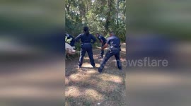 Escaped pig outwits eight cops in Mississippi