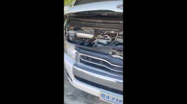 Snake caught in car engines slithers around fireman's crotch