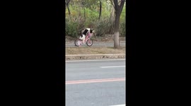Curious pet dog learns how to ride push bike