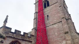 Thousands of knitted poppies cascade from church ahead of Remembrance Day