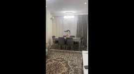 Cat balances on figurine in Baku for 30 seconds