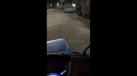 Motorcyclist encounters dog on the road in Nakhon Pathom, Thailand