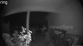 Bear scavenges food from trash bin in Cascade, Idaho