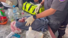 Villagers find newborn baby abandoned near vegetable garden in Thailand