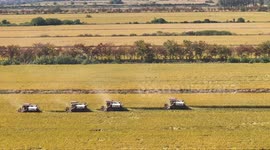 China: Rice Harvest in Huai'an