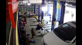 Mechanic hospitalised after aggressive wild boar charges into garage in eastern China