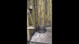 Bizarre toilet in holiday island has no door