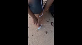 Kind beachgoer revives lifeless fish with CPR