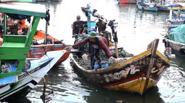 Workers collect, boiling and shuck green mussels at Cilincing, Jakarta Bay, North Jakarta, Indonesia on September 22, 2024. Authorities in Jakarta have put a hold on issuing permits to farmers harvesting green mussels in the bay of Jakarta due to the poor