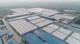 Chinese edible fungi supplier embraces booming sales in overseas market