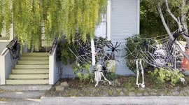 Halloween 2024