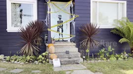 Halloween 2024