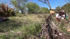 US: 15-Foot Burmese Python Swallows 77-Pound Deer, Raising Alarm on Wildlife Impact