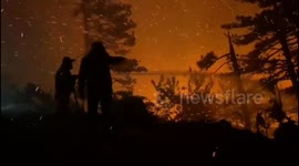 Türkiye: Heroes Battle Relentlessly to Save Turkeys forest as Denizli Fire Nears Full Containment