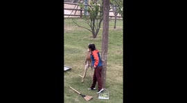 Zookeeper has hilarious playfight with kangaroo in China